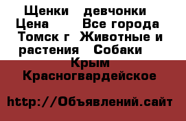 Щенки - девчонки › Цена ­ 2 - Все города, Томск г. Животные и растения » Собаки   . Крым,Красногвардейское